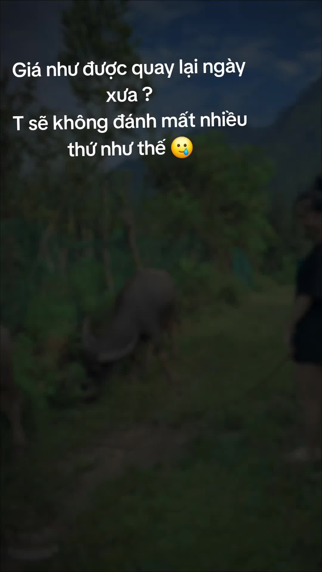 @@HồngMai🥰22❤