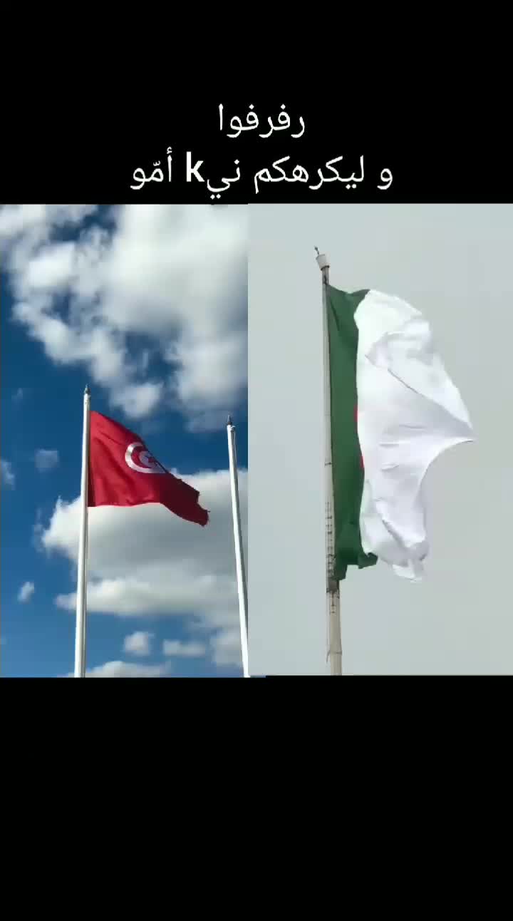 @ⵣ🇹🇳JAK WOLF🇩🇿ⵣ