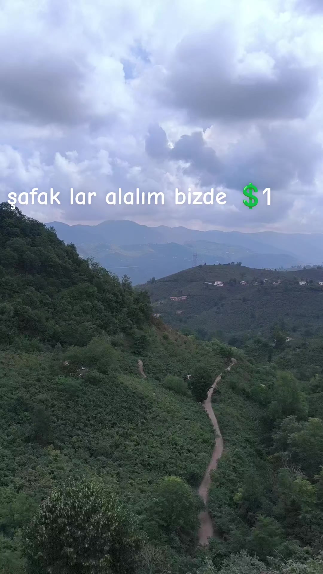 @C A V R E Ş. B R R A T