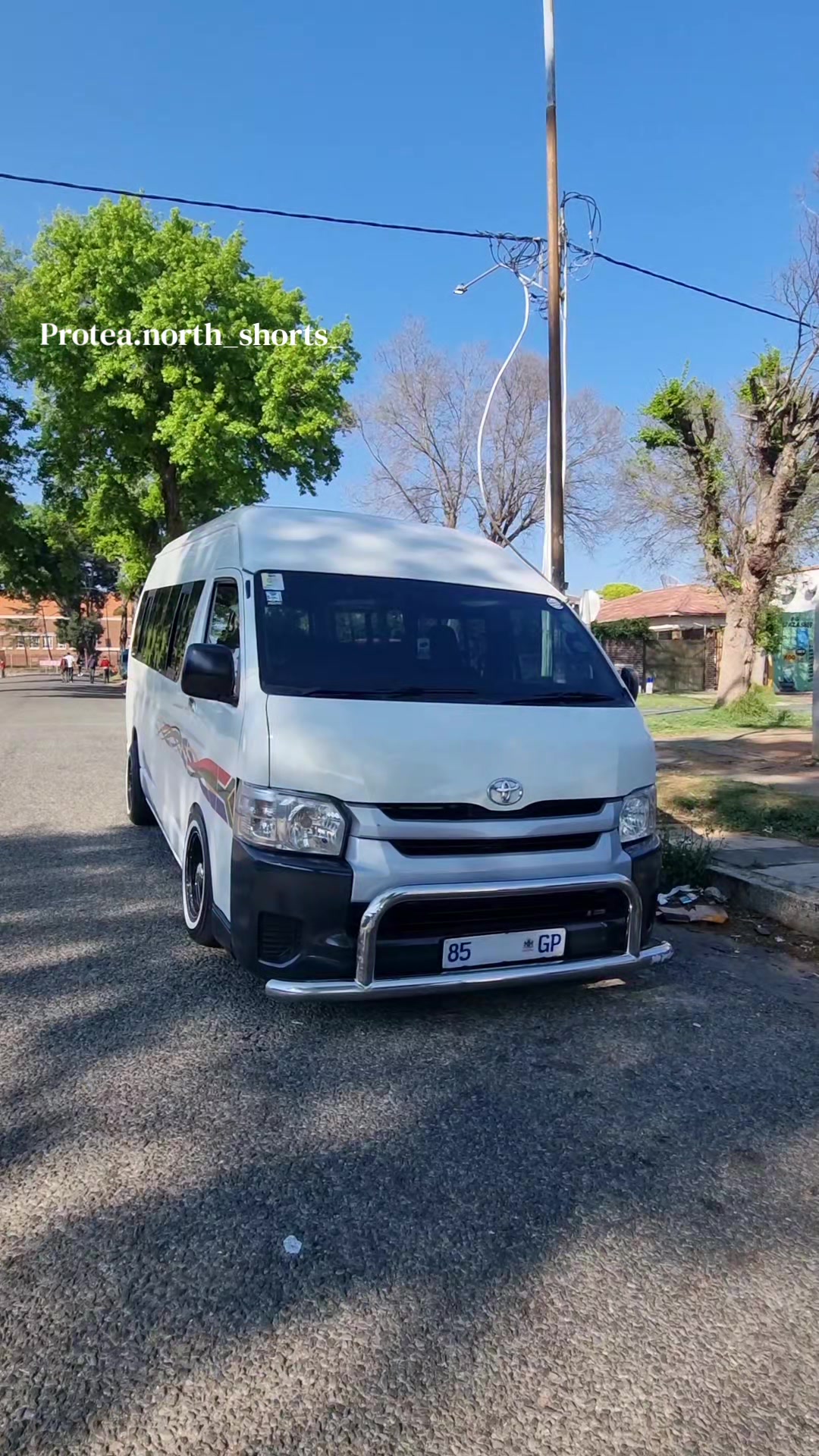 @Protea.north_shorts_