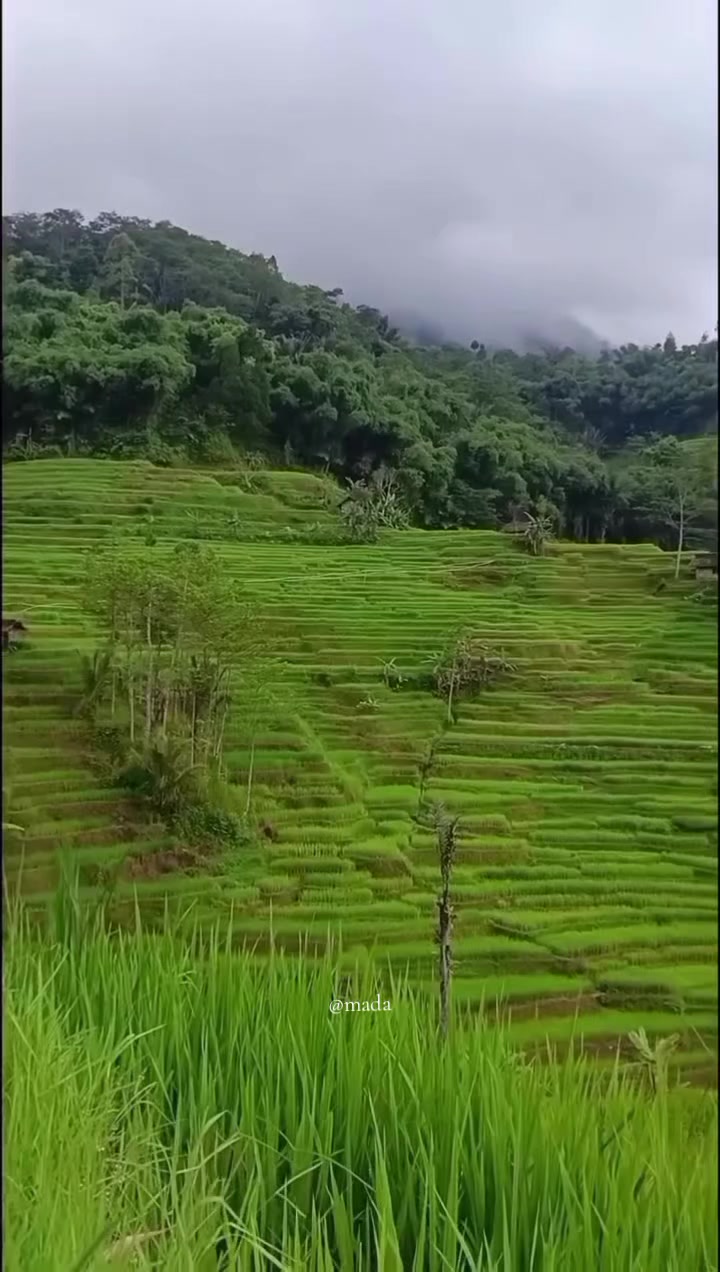 @Mada