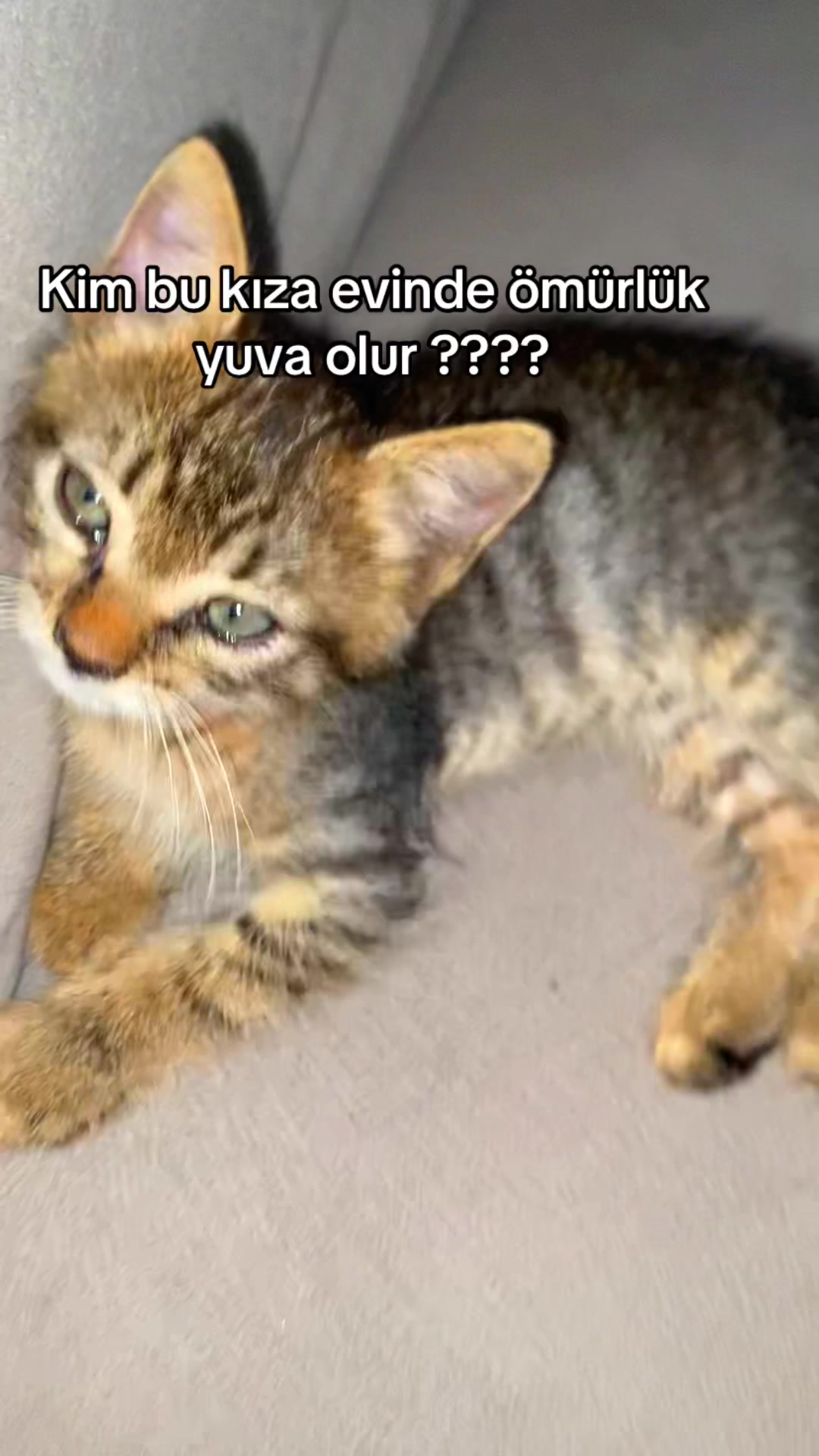 @yudummz_