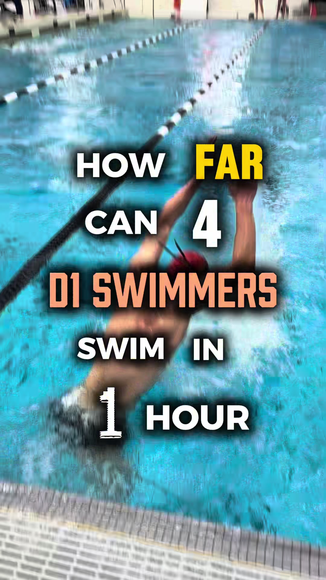 @chris_swimzz