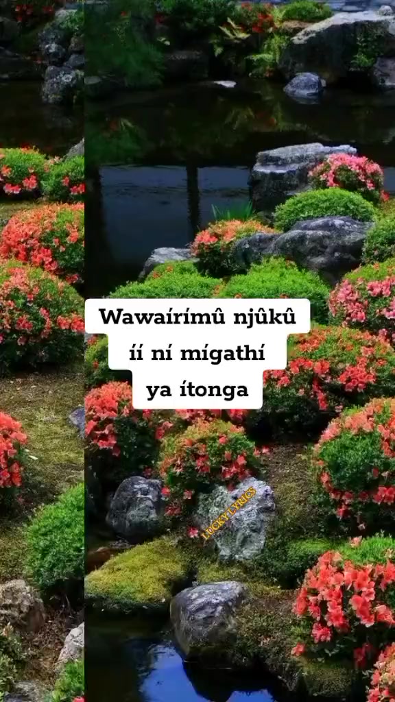 @MamaGalsOfficial