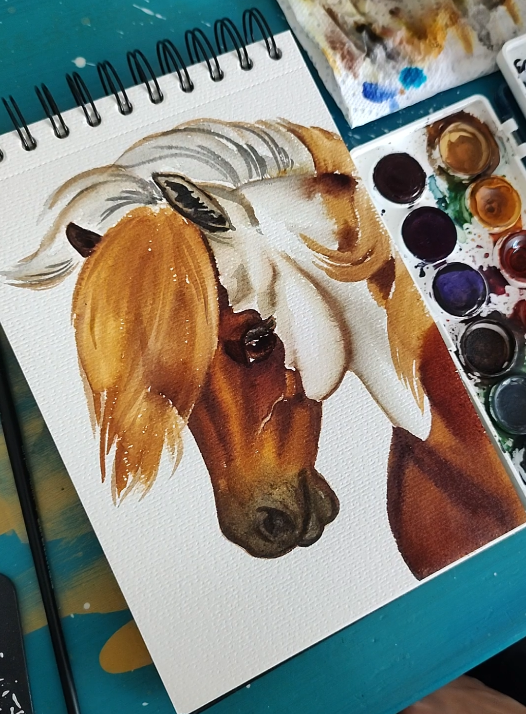 @🎨Kate Holloman🌱