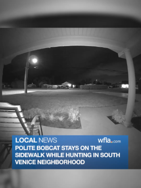 @WFLA News Channel 8
