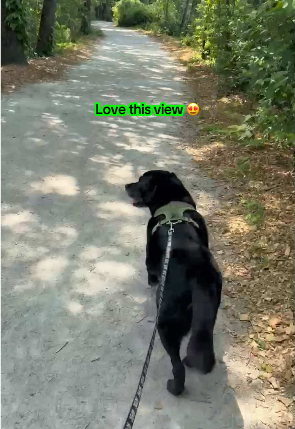 @rubenblacklab