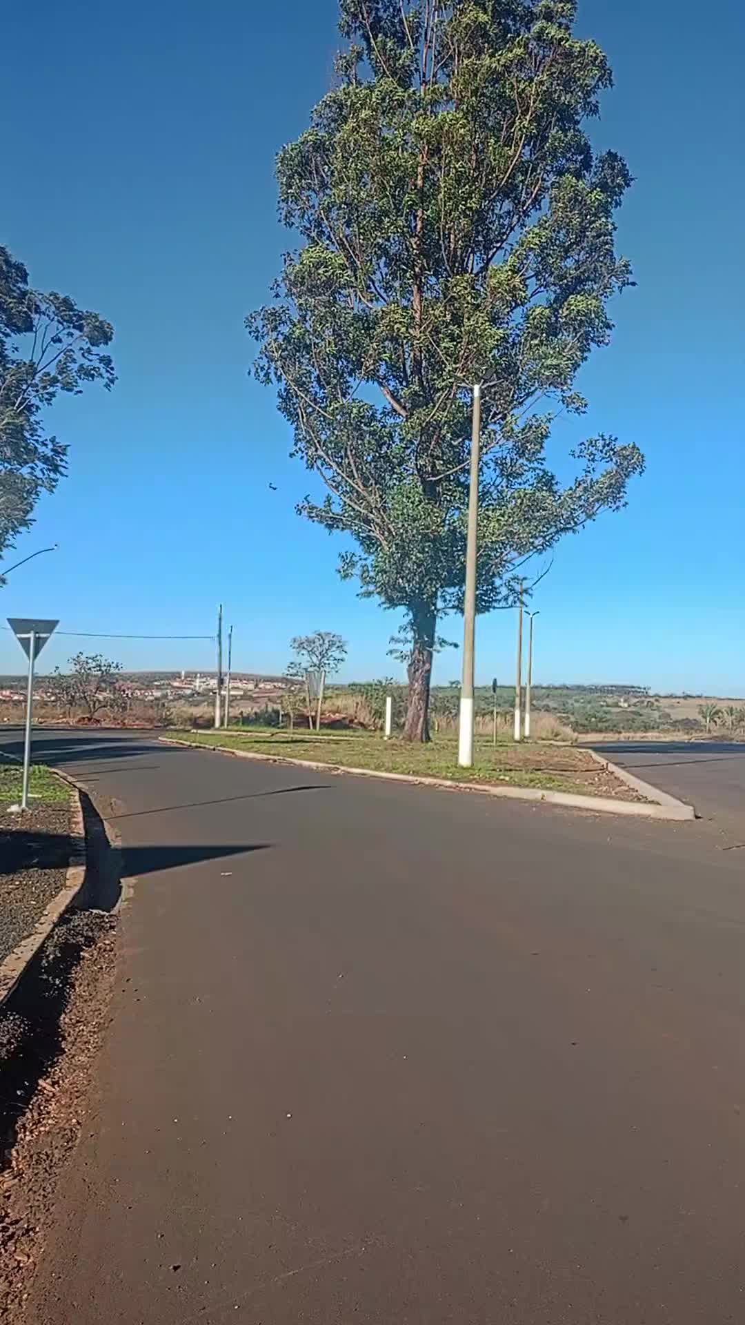 @Adriana Aparecida Si