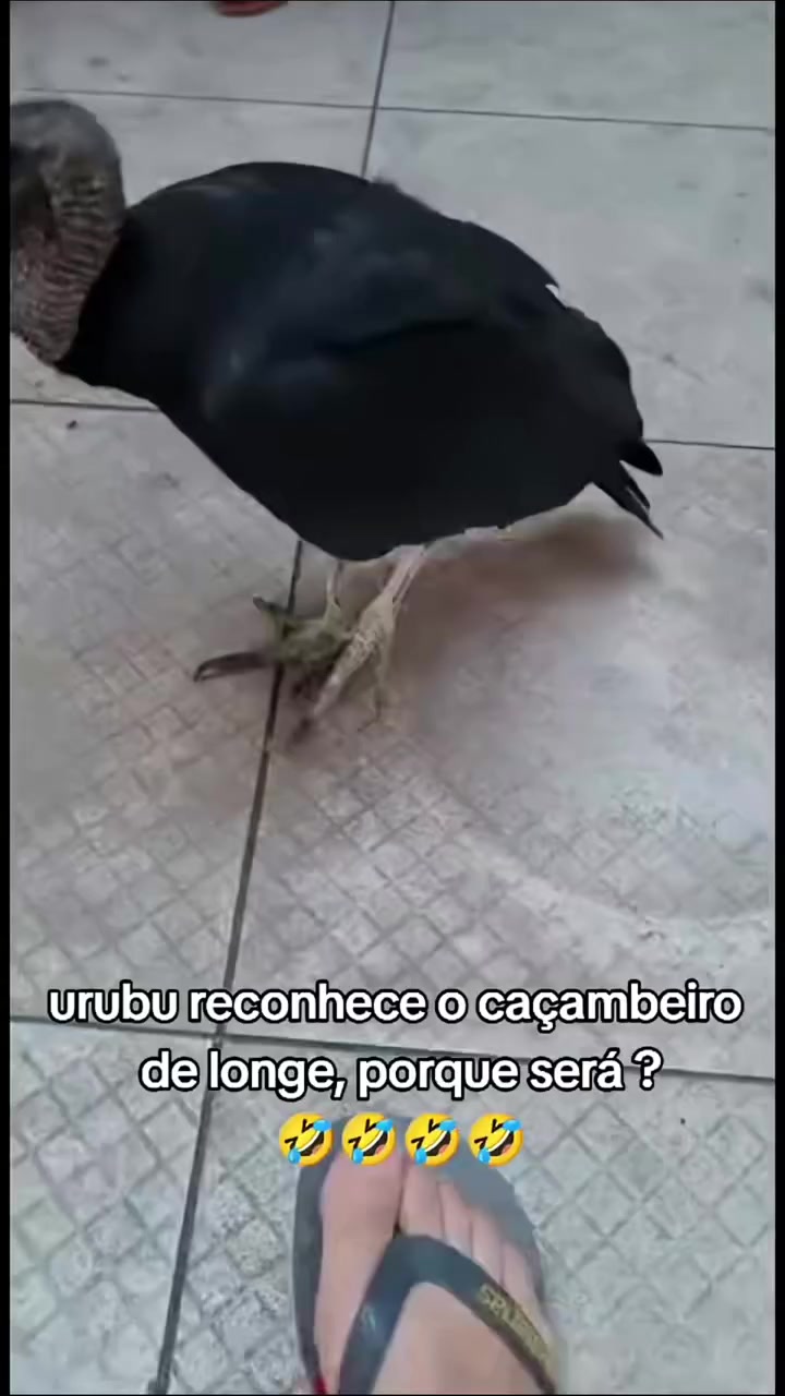 @Gustavo Henryck