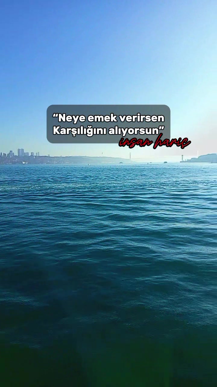 @serhat bey