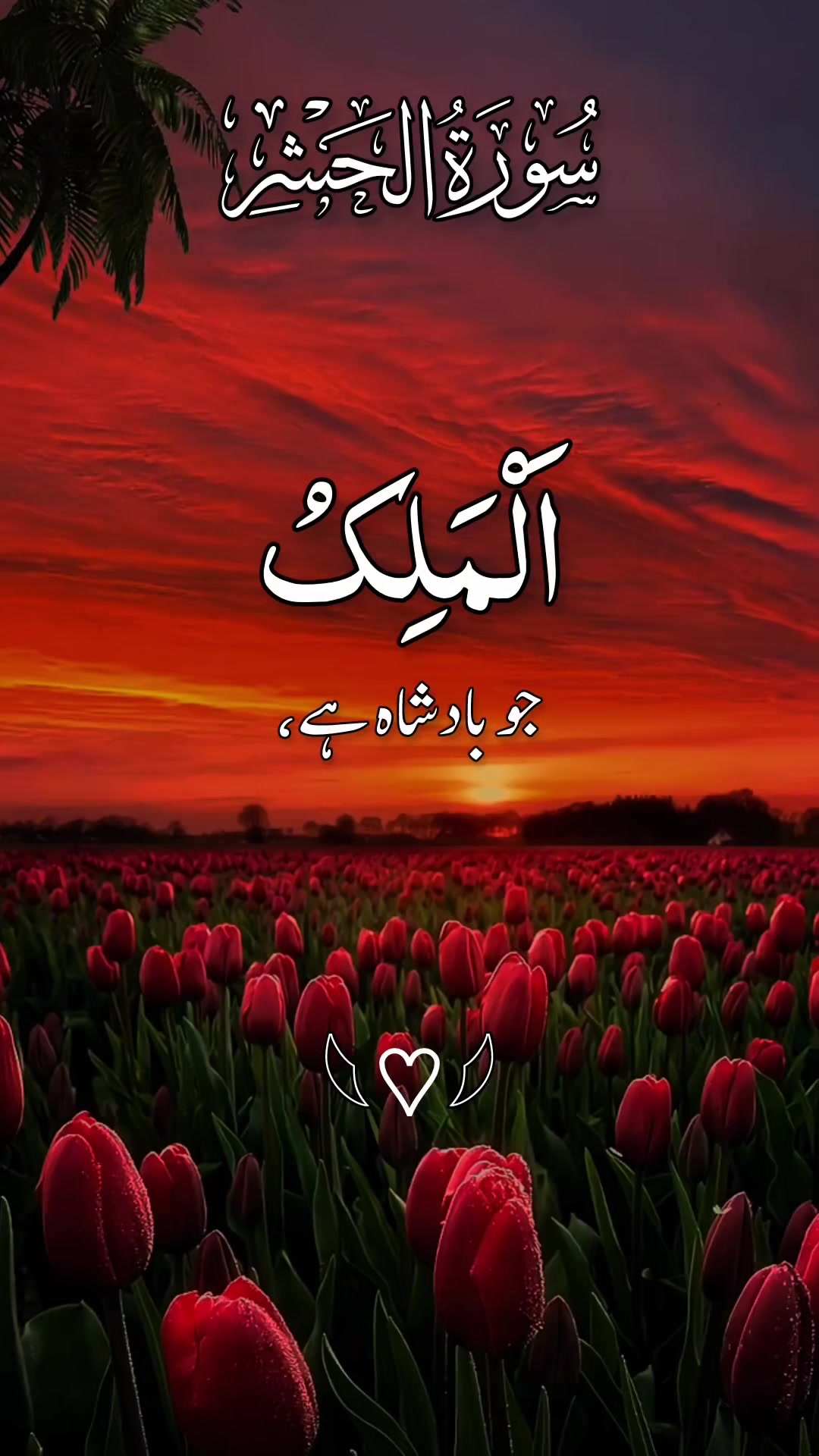 @❣️ Words of Allah ❣️