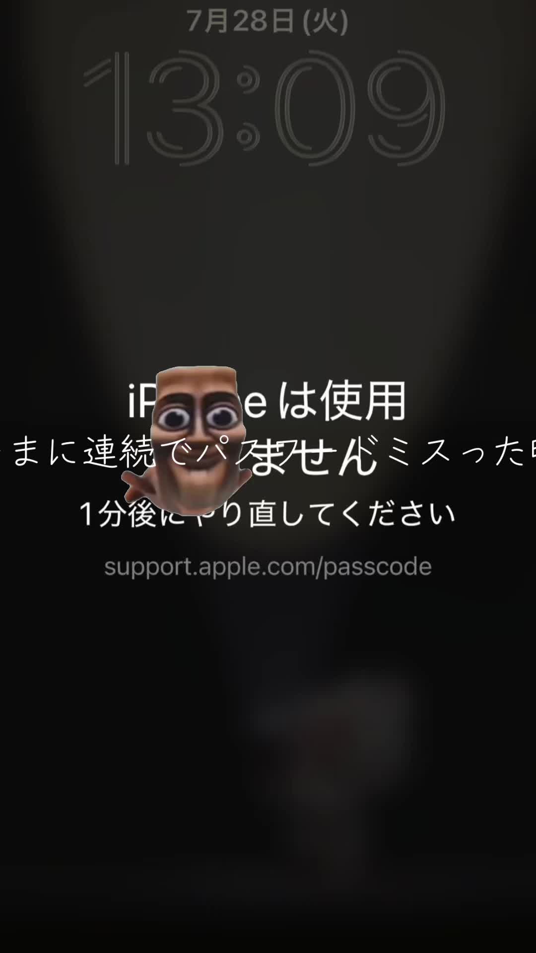 @ティマ(⊙&omega;⊙)