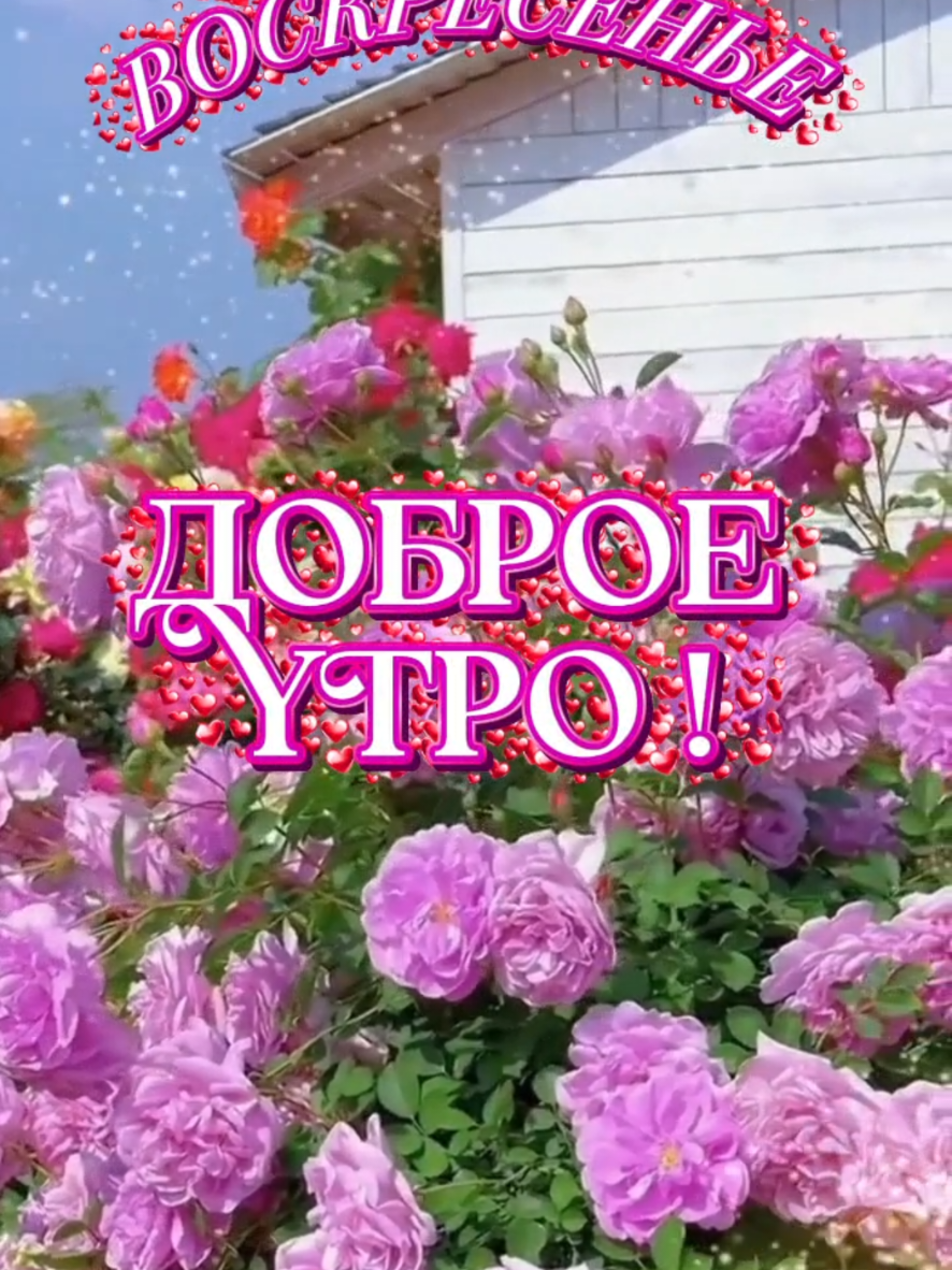 @🇧🇾 Магер Елена ♈