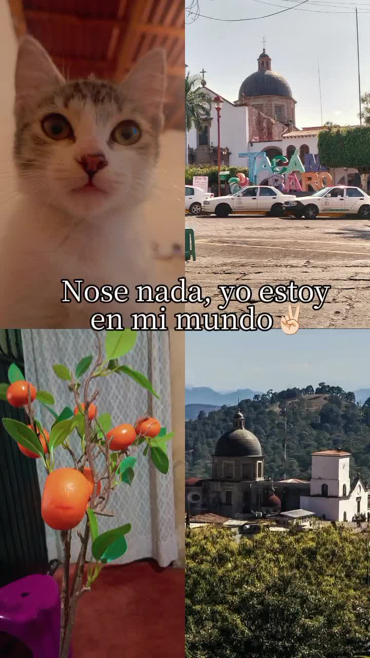 @ErickPulques