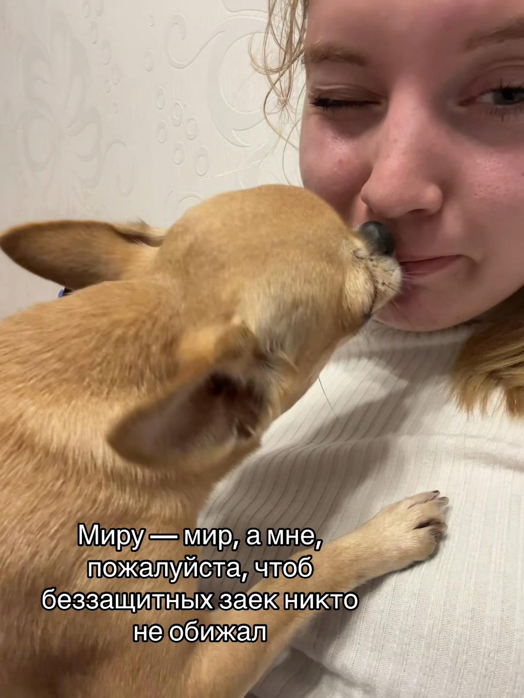 @ксю