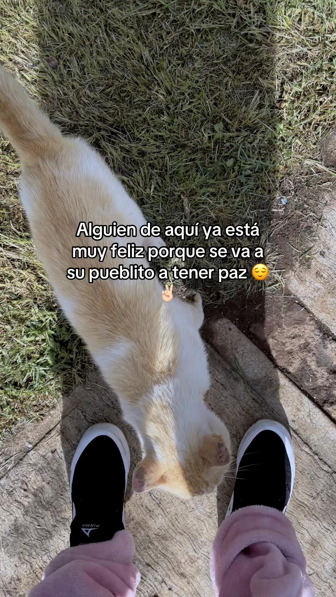 @Anitha Vel&aacute;squez👑🌸