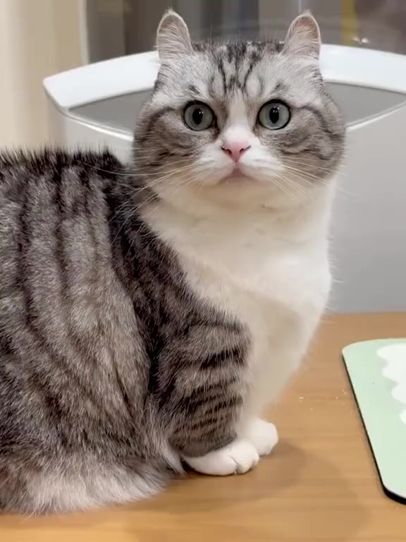 @KomaruSalt_AB