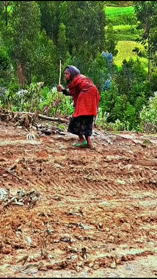 @ኒዛም ፋሽን ዲዛይን