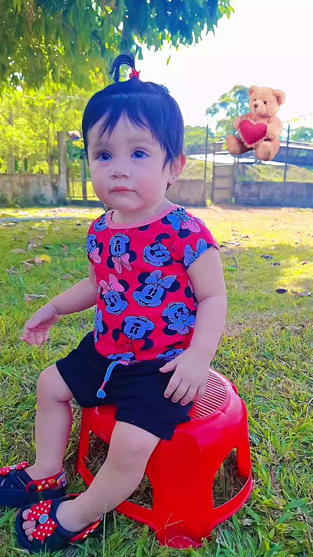 @Araujo✅️
