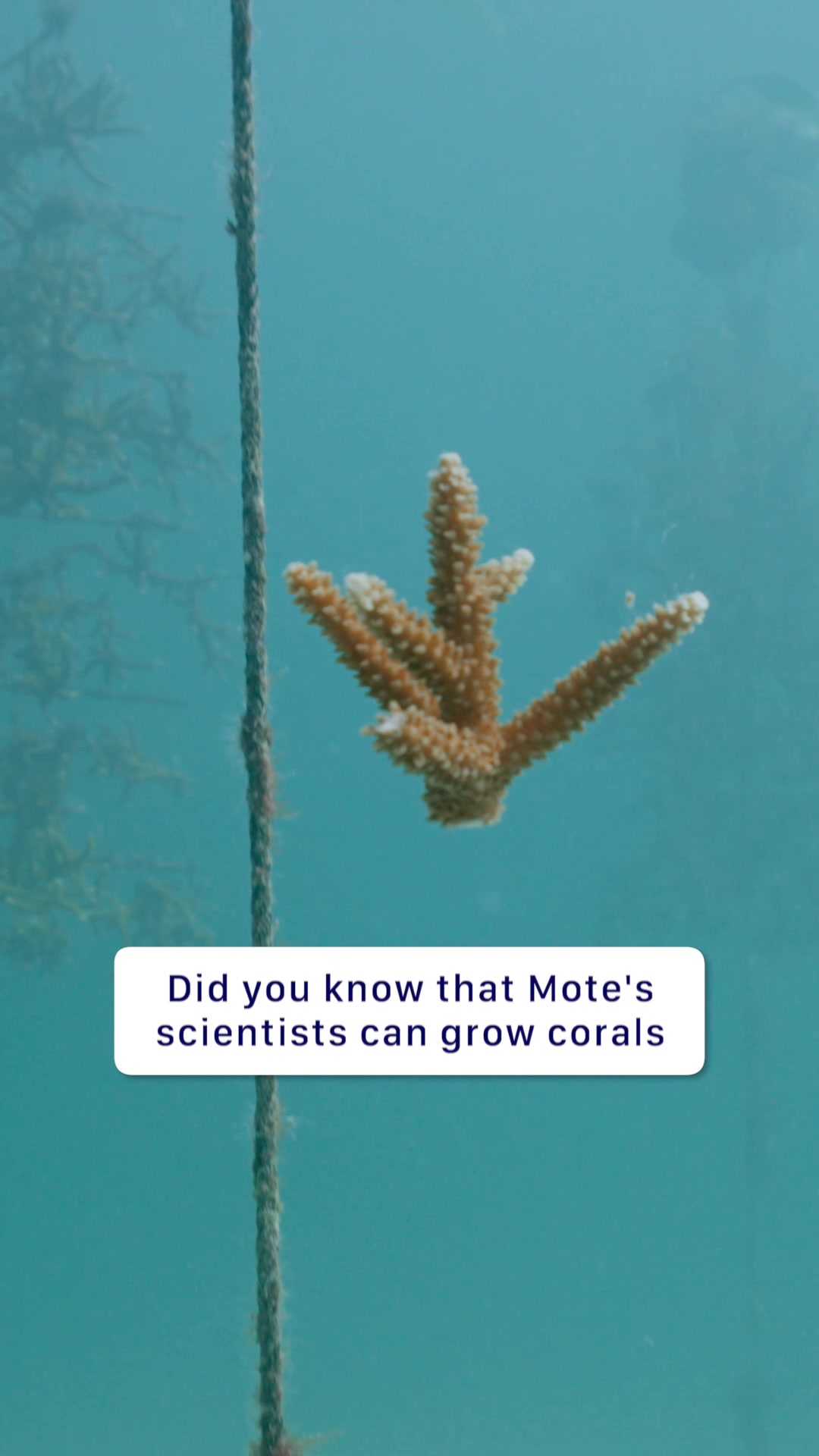 @SCUBAPRO
