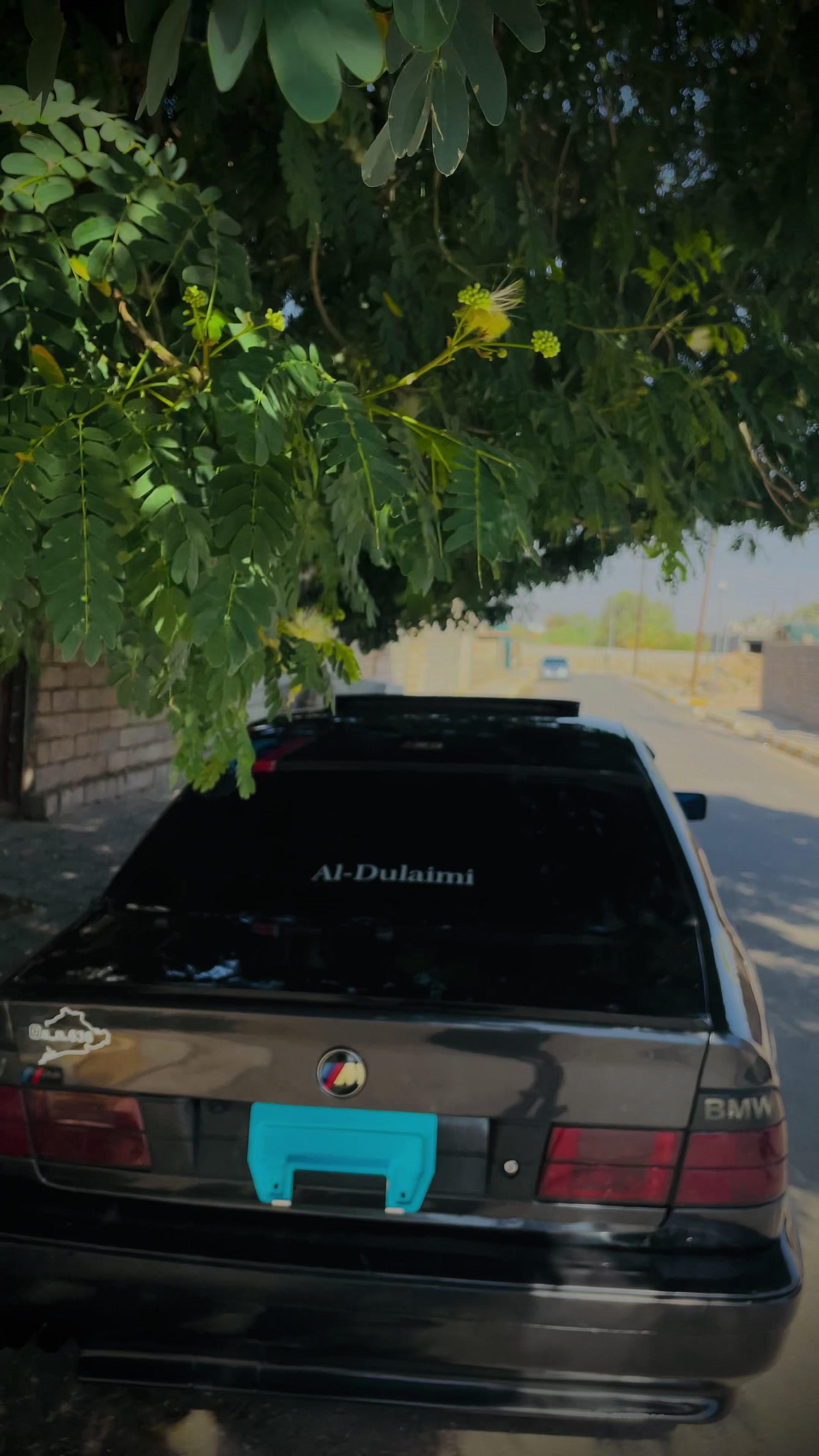@صگبان .🕷️.