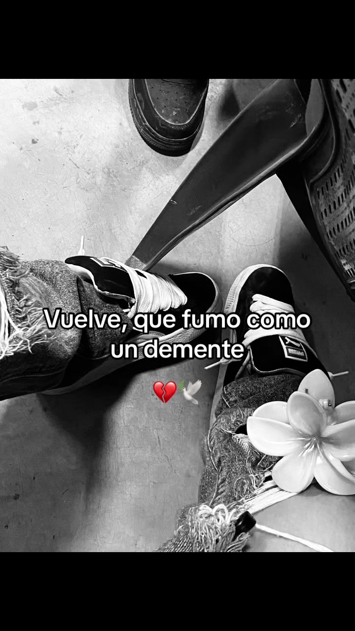 @Zoé💞