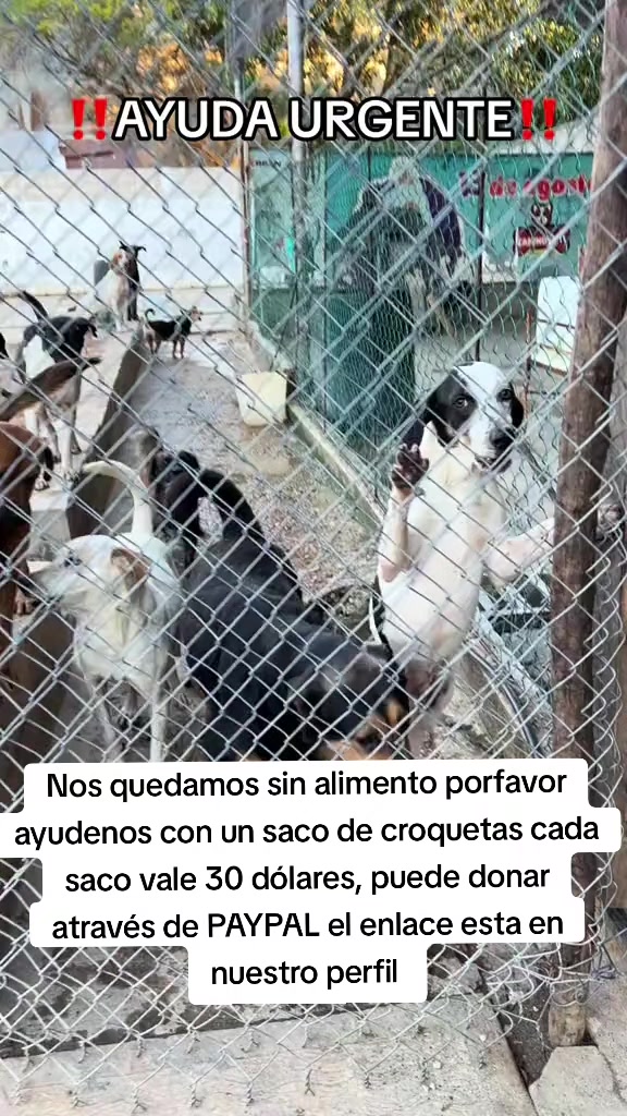@Asoc. Peluditos