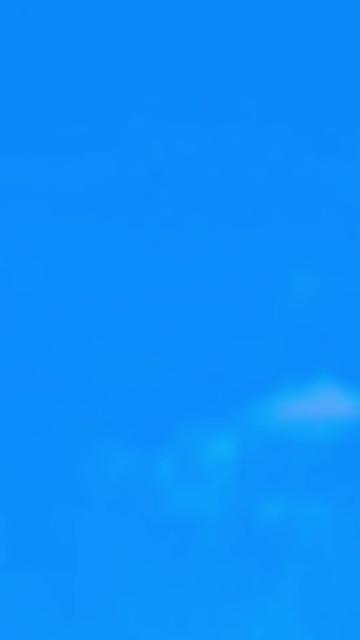@🌳balijakpkohistan55055🌳
