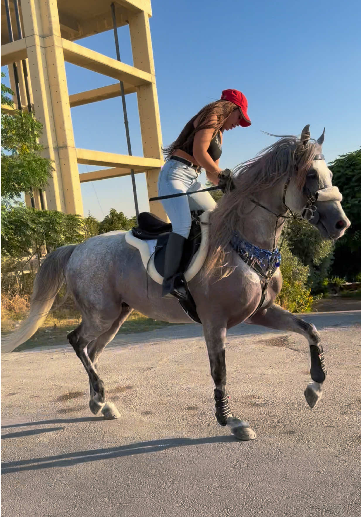@لــيــن🐎