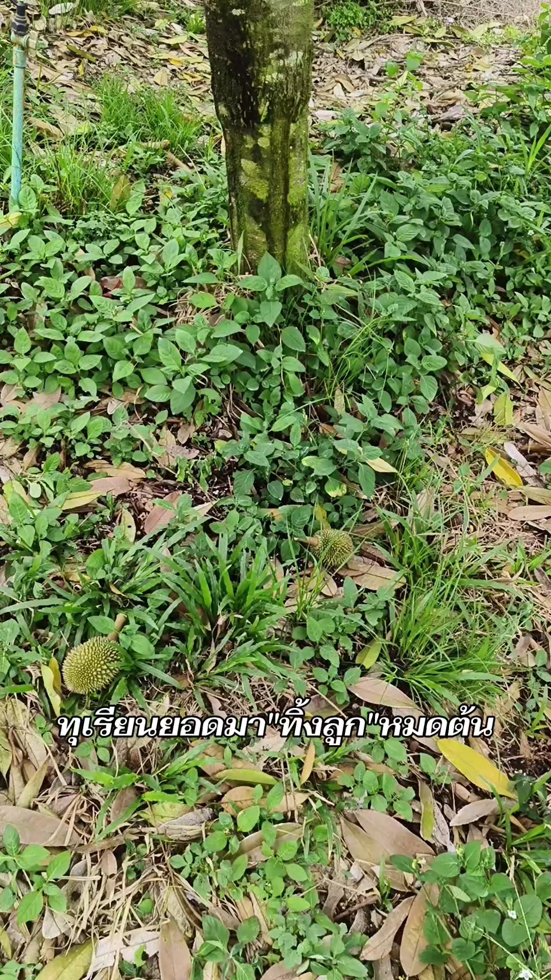 @ꉓꃅꀤꋪꍏꅏꀎ꓄_ꌗꃅꂦꉣ
