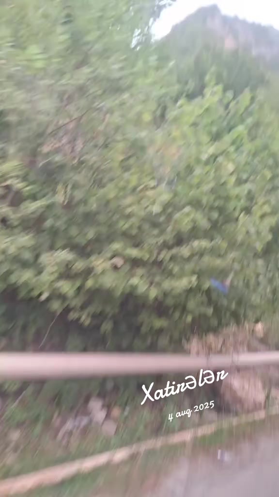 @MIRA