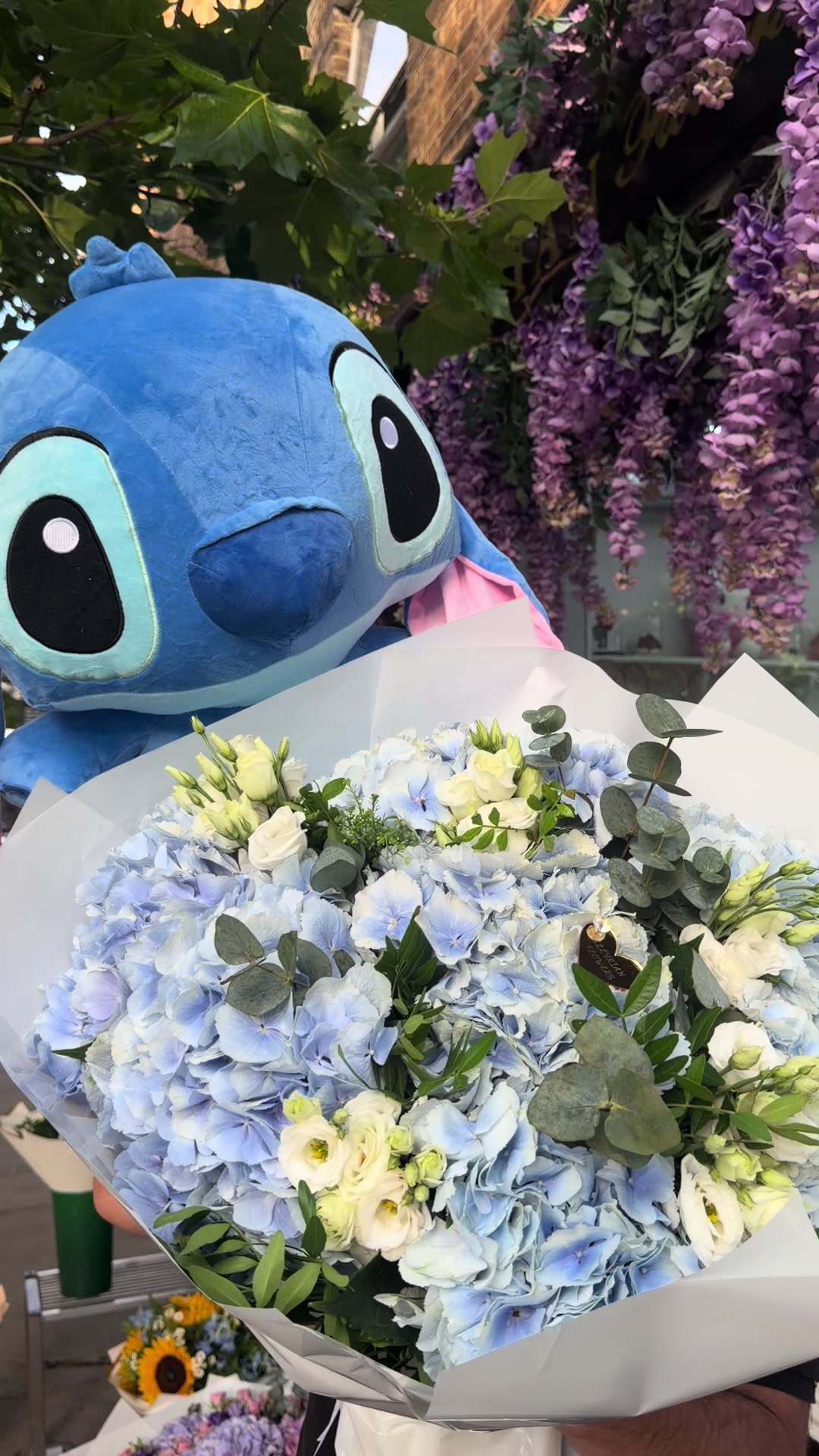 @illyrianflowers