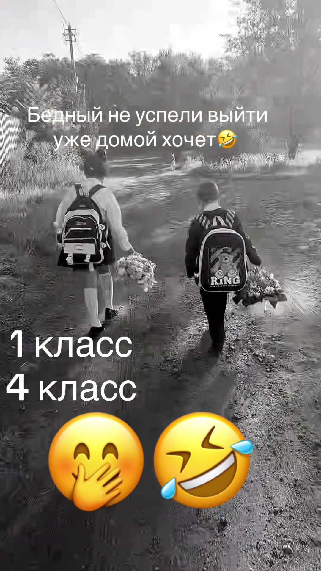 @❤️ Хамка❤️