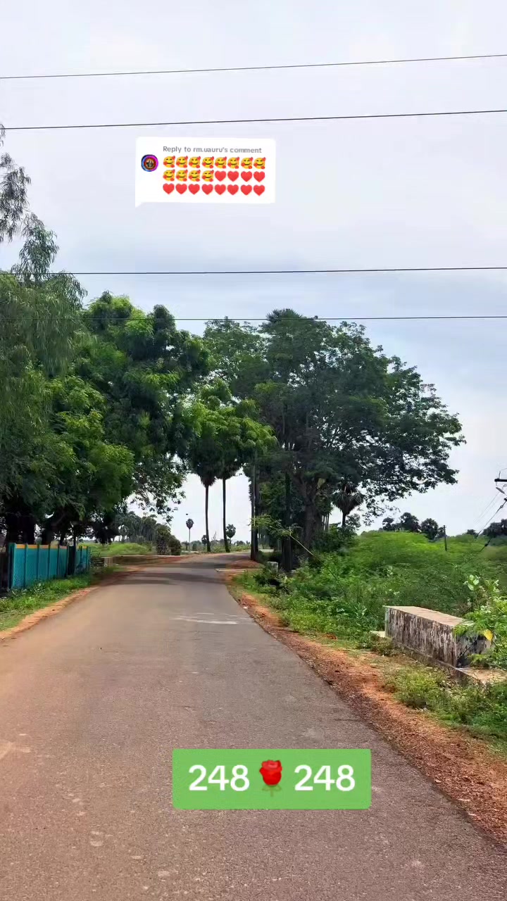 @பேப்பர் ஐடி    248 🌹1