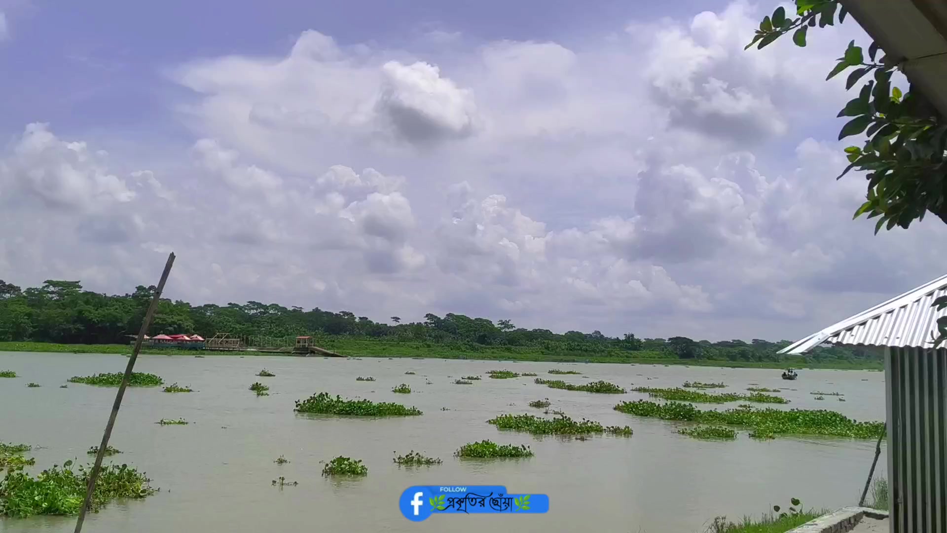 @🍃🕊️ ”প্রকৃতির ছোঁয়া” 🕊️🍃
