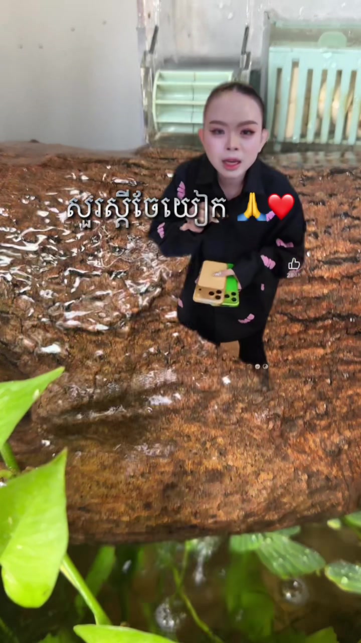 @Eleven12-Nara๐ฆ