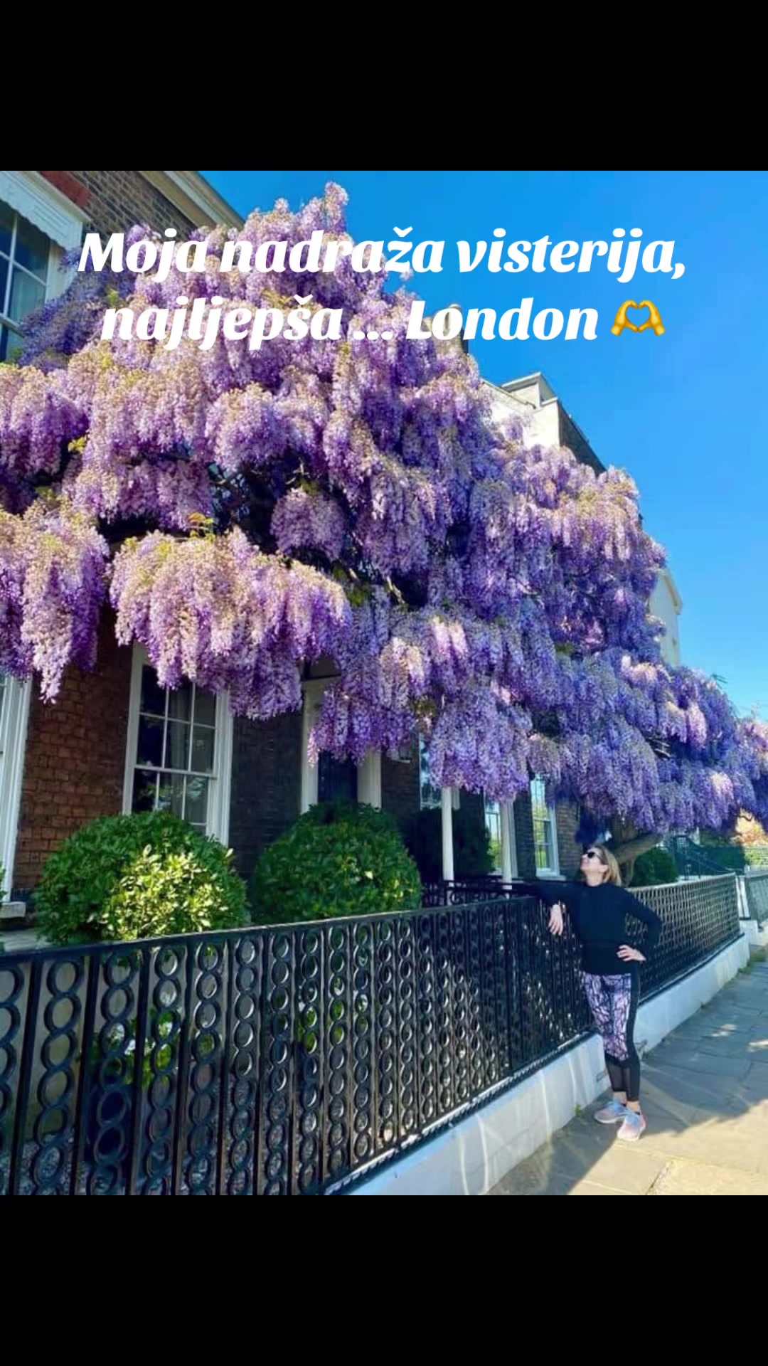 @pticaselica