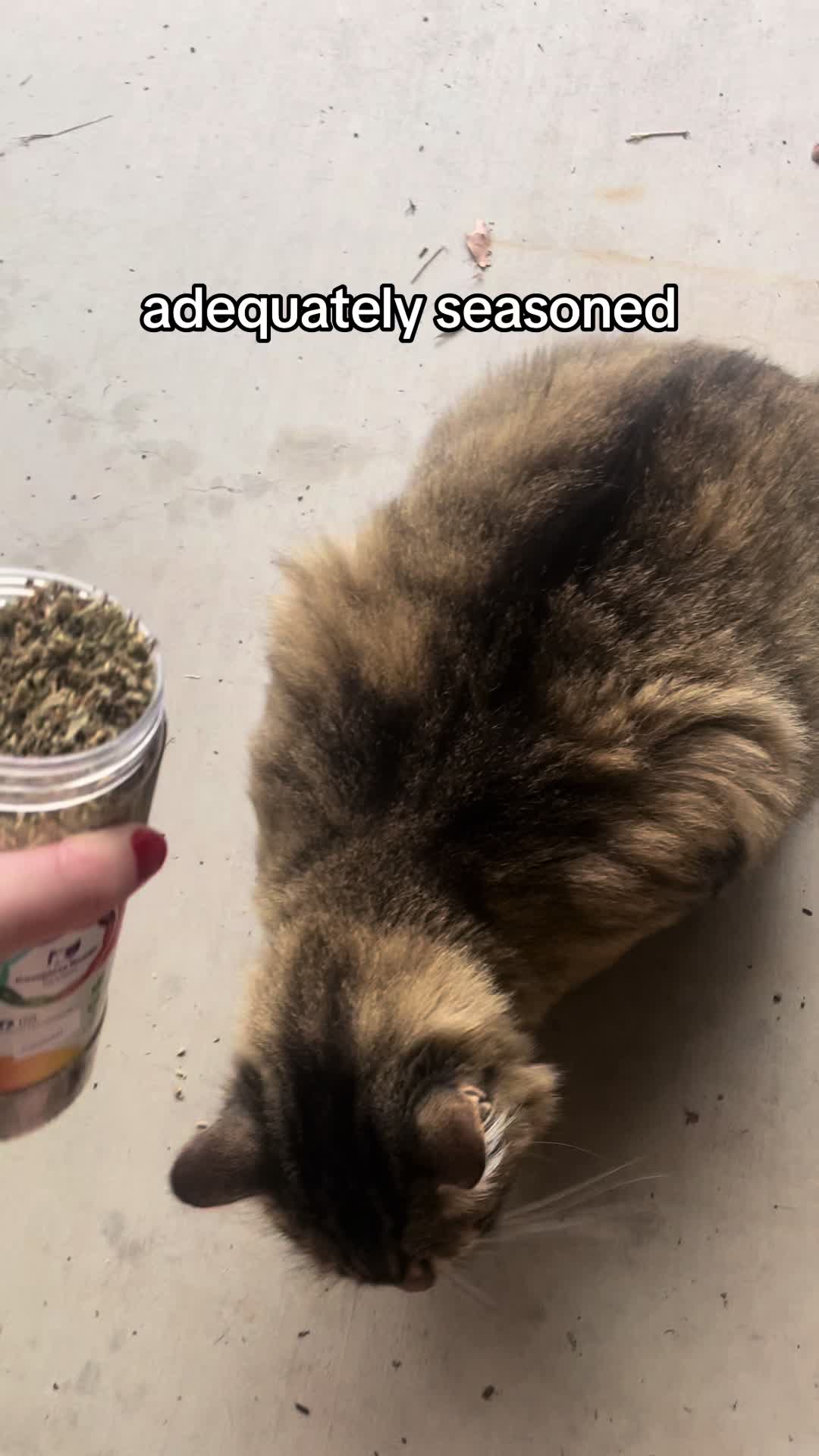 @𝕜𝕪𝕟𝕕𝕖𝕝