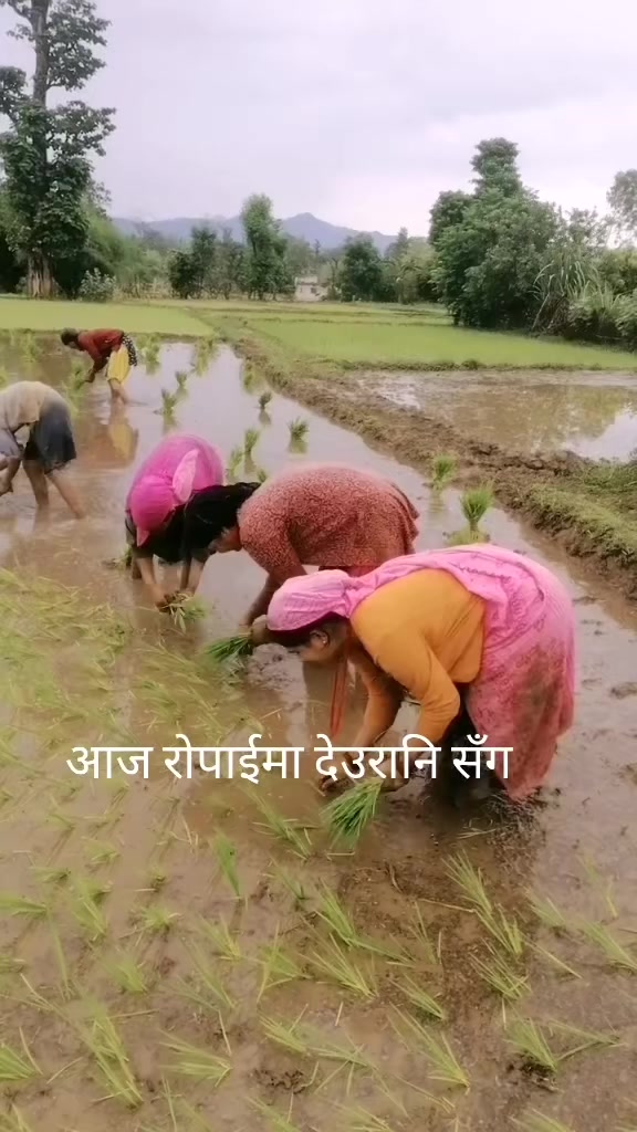 @Deepa Mahara