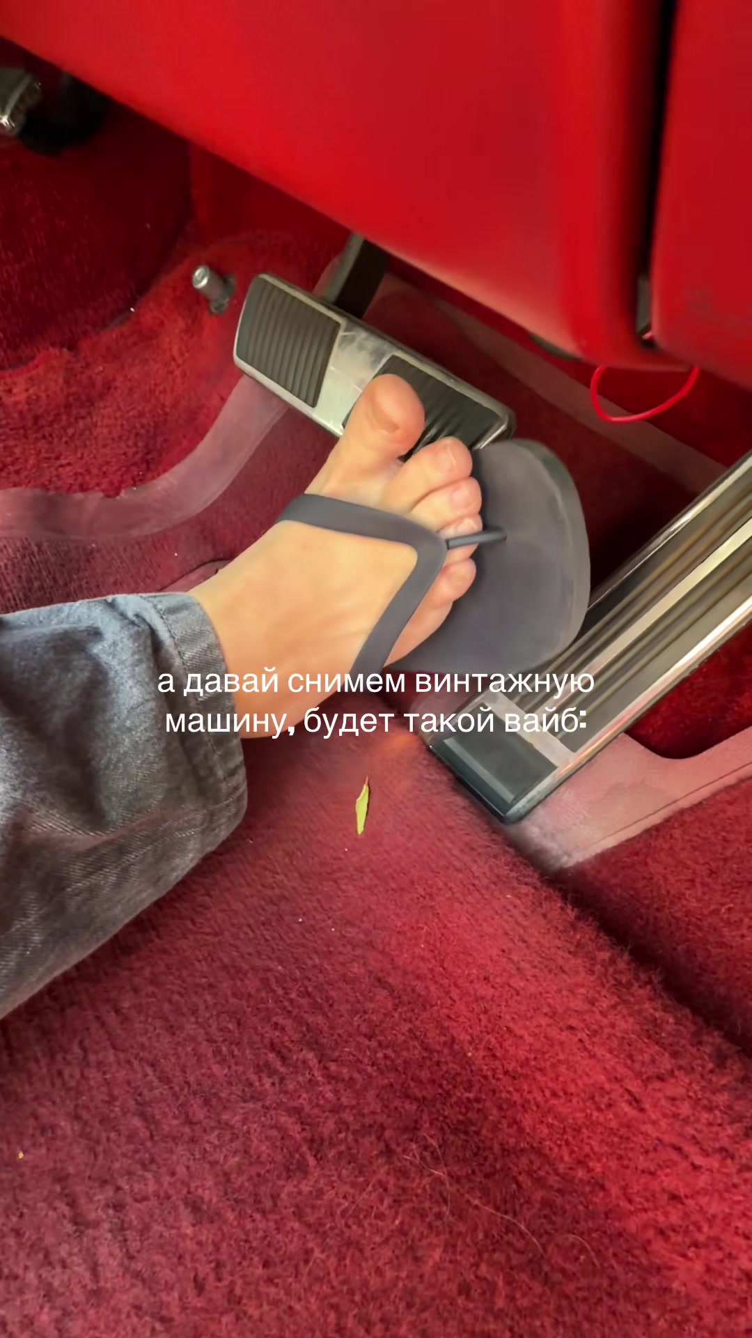 @тгк: барашик лизок @barrashik