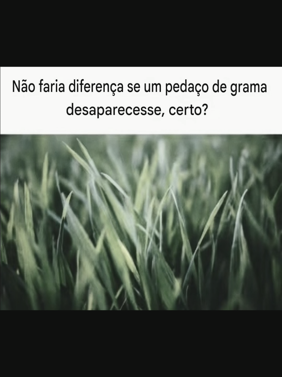 @Zaiko