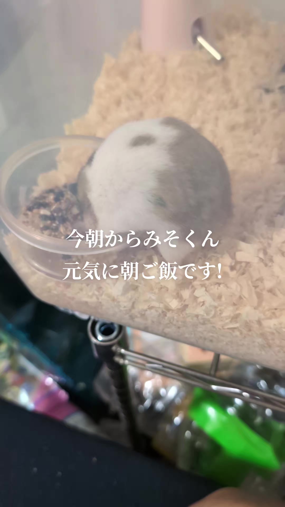 @K・B・M
