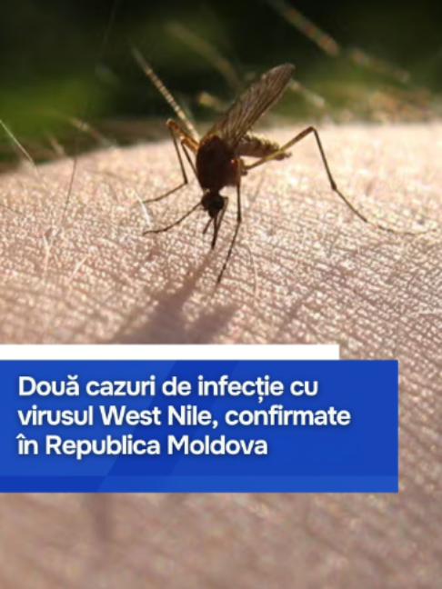 @Moldova1