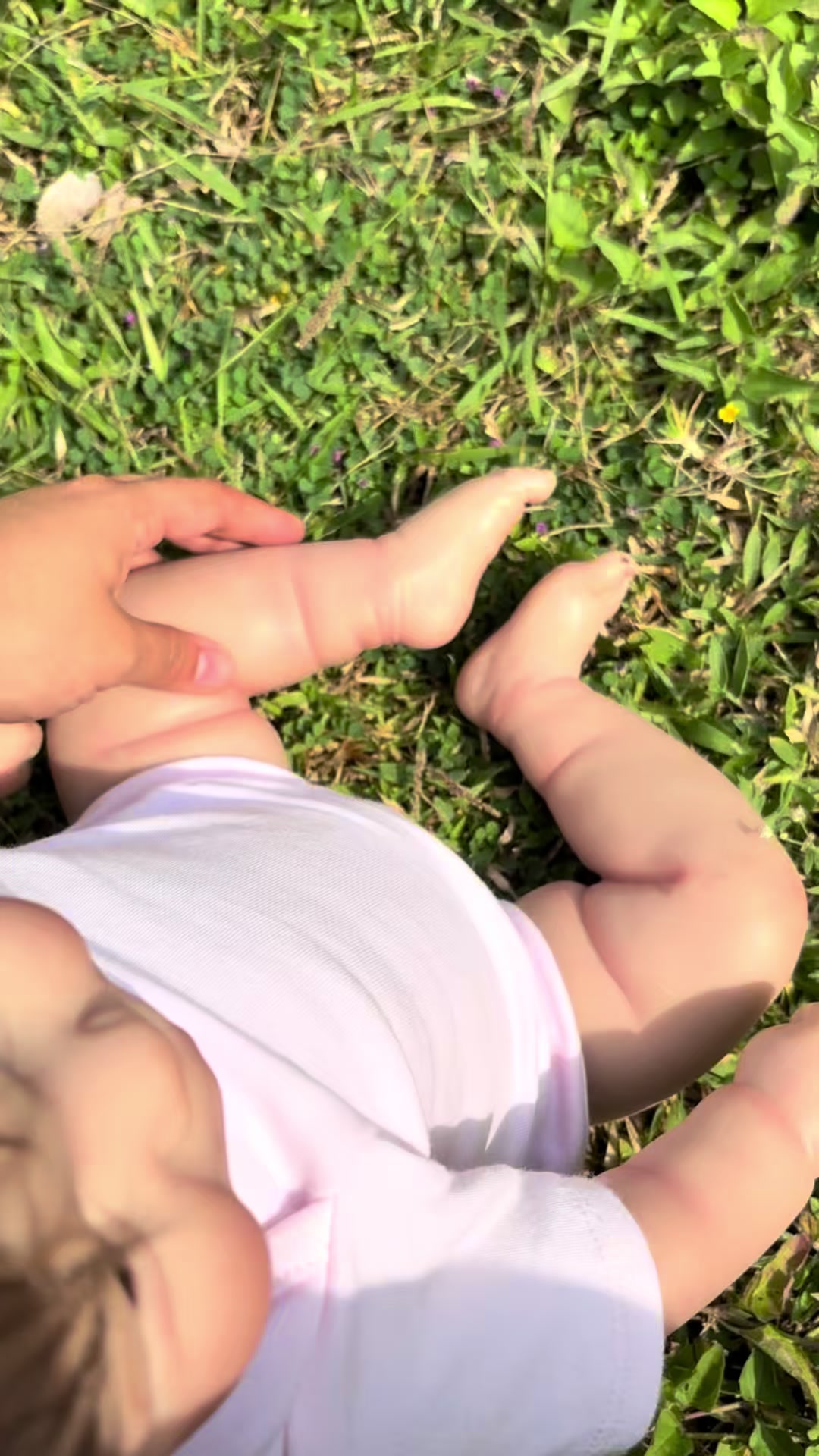 @babybamboomx