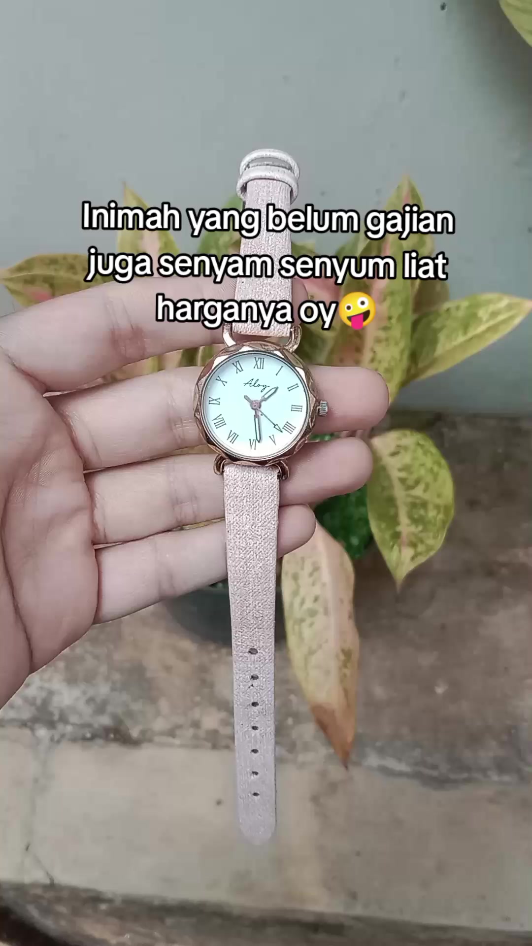 @S-tetik 🛒