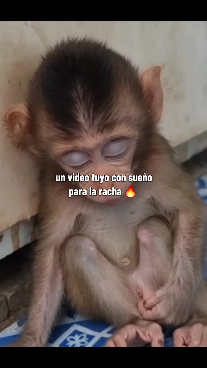 @RabPesito 🔥