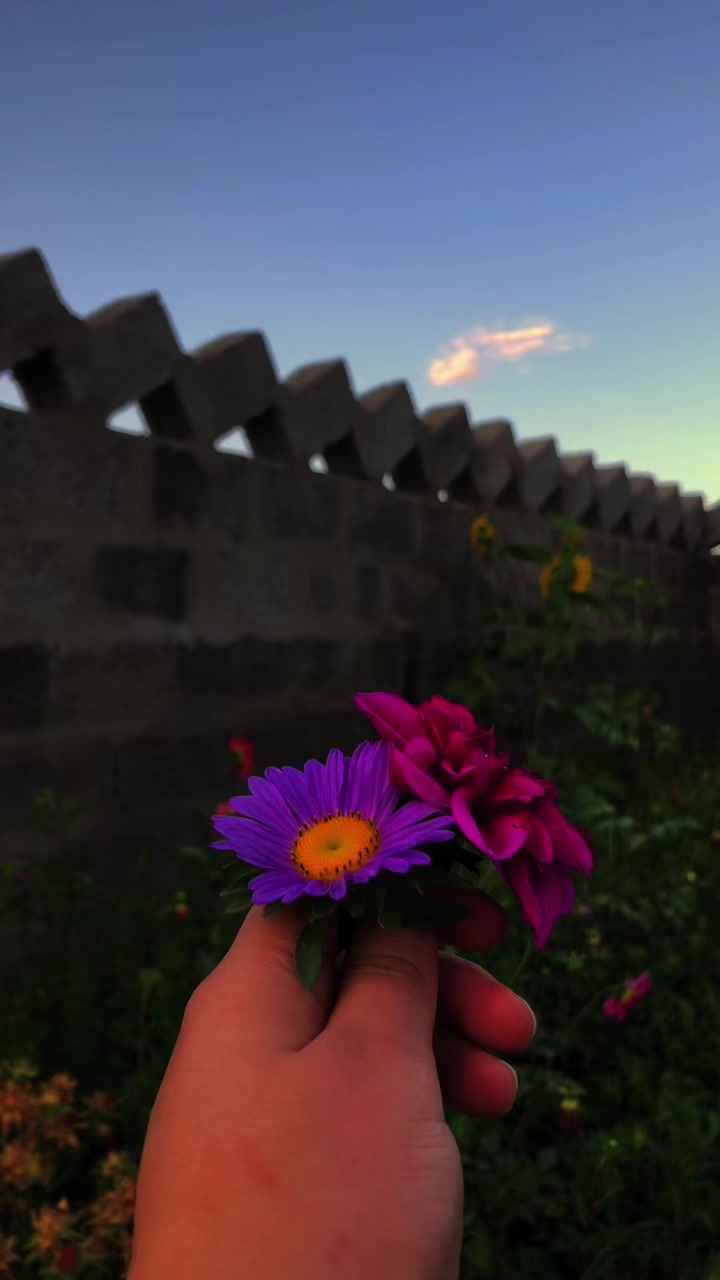 @anisthetics__1