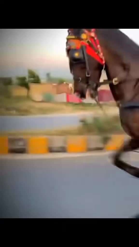 @🐴 گھوڑا شوق 🐴