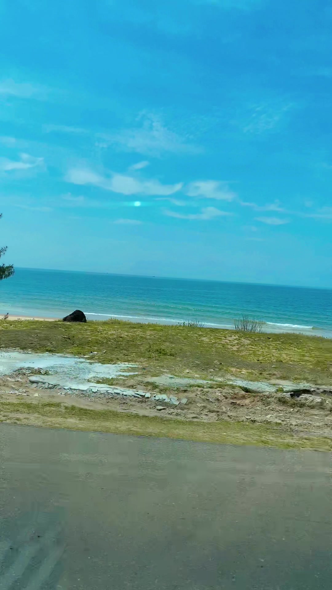@Phối Phối~佩佩 🇹🇼🌻