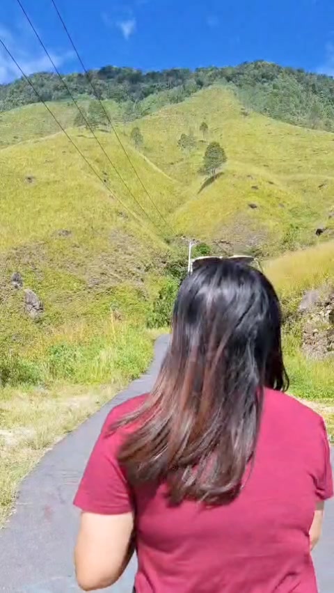 @Sintatarigan